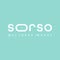 Sorso Wellness Water
