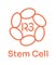R3 Stem Cell