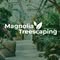 Magnolia Treescaping